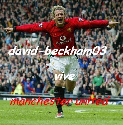 david